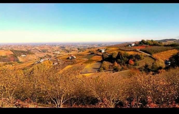 Castagnole delle Lanze Maison Younesco - Villa Indipendente Exclusive מראה חיצוני תמונה